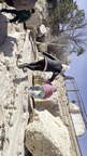 IMG 2786