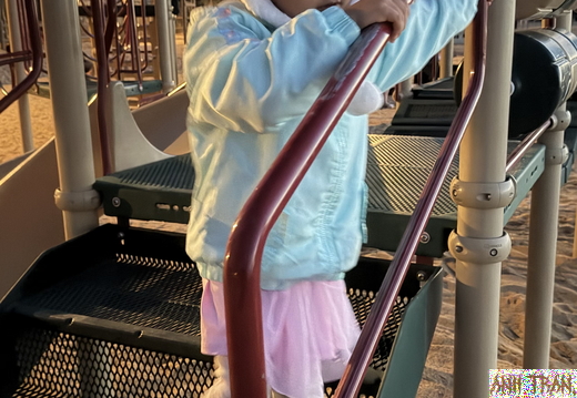 IMG 001799