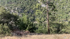 IMG 033197