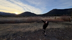 IMG 001992