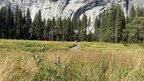 IMG 033324