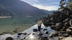 IMG 002306