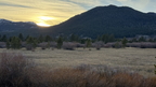 IMG 002403