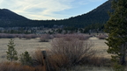 IMG 002510