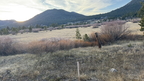 IMG 002517