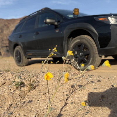 DEATH VALLEY