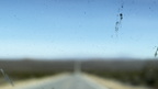 IMG 8764