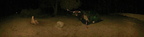 IMG 0858