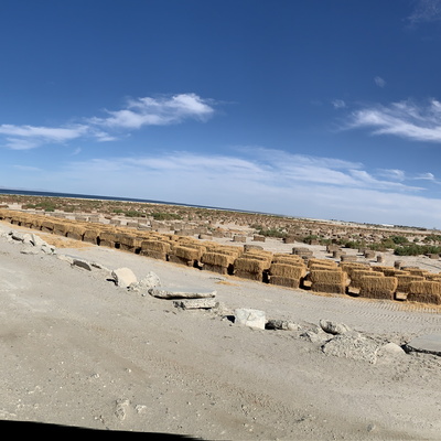 SALTON SEA