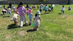 IMG 0003