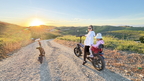 IMG 7737