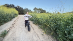 IMG 7745