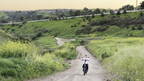 IMG 7754