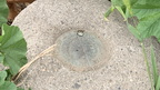 IMG 005284