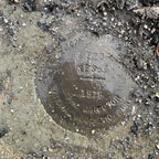 IMG 005350