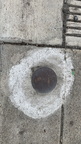 IMG 006025