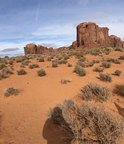 IMG 4239