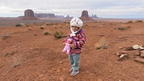 IMG 4341