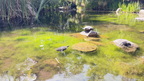 IMG 0509