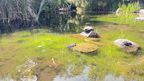 IMG 0510