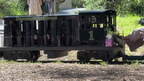 IMG 0514