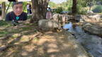 IMG 0498