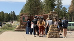 IMG 1249