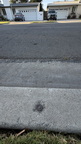 IMG 4830