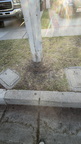 IMG 4825