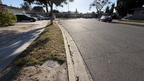IMG 4817
